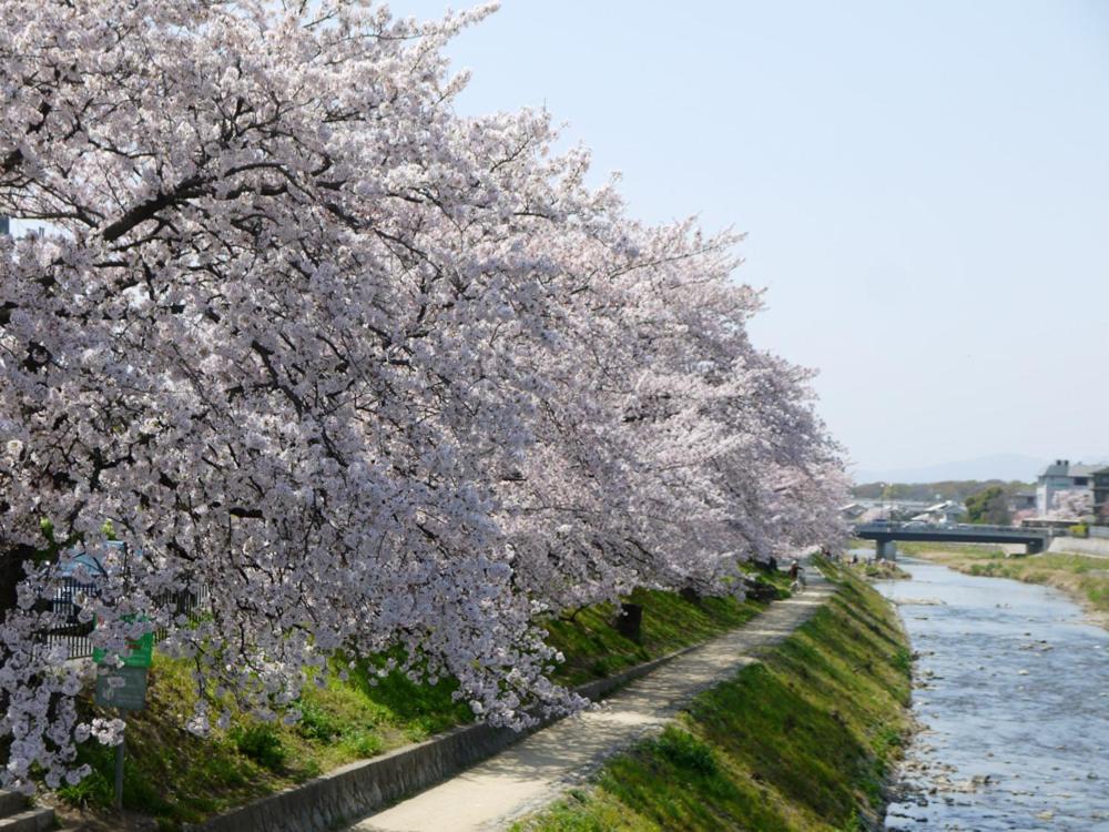 Hanare Kyoto Chogeikan מראה חיצוני תמונה